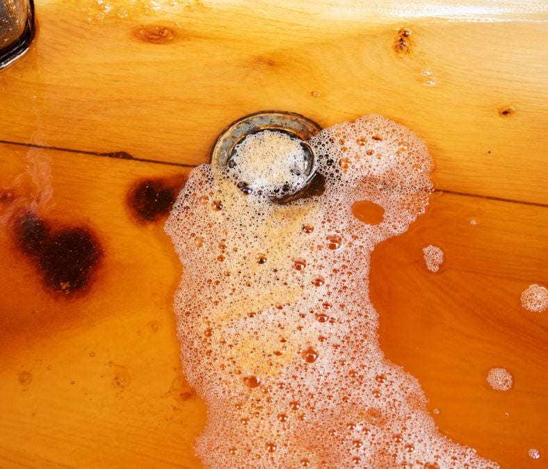 Clogged drain showing a common plumbing issue in Bellevue homes